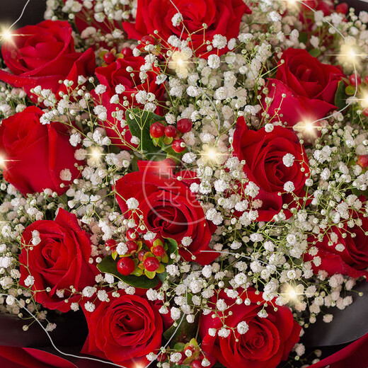 Baihuaguan Flowers Red Roses Gypsophila Real Bouquet Birthday Gift for Girlfriend Confession to Wife City Delivery Within Hours I Love You Like One 11 Red Roses + Gypsophila + Red Beans | T75