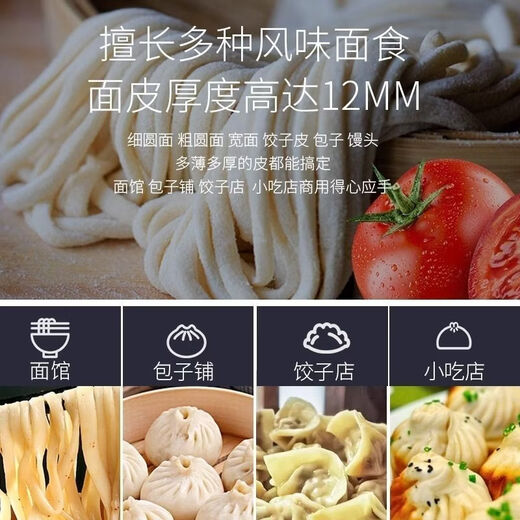 MPPMCK Japan imported 300 stainless steel noodle making machine noodle machine buns steamed bun noodles All commercial noodle stick cutter stainless steel ordinary noodle stick 1500 watt aluminum motor
