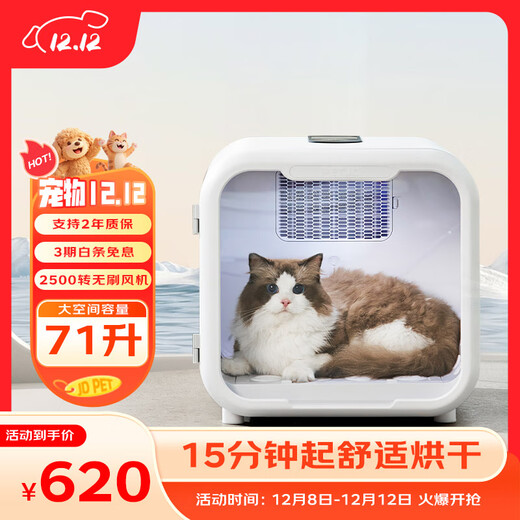 Caja de secado para gatos Jupet, secador de pelo automático para perros, máquina para tirar y soplar el pelo para el baño en casa, modelo básico de 71 litros