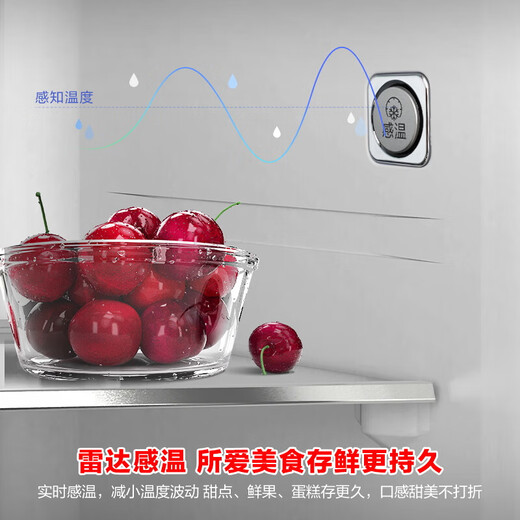 Rongsheng IDP Pure Taste 501pro cross four-door first-class energy-efficiency variable frequency ultra-thin active sterilization dual-cycle dual-system smart refrigerator Xingyue Gray Blu-ray SPA freshness + IDP active sterilization