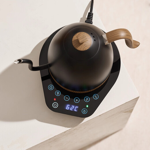 BREWISTABrewista smart temperature-controlled hand-brewed coffee pot household stainless steel slender mouth electric kettle teapot 1.0L silver 1L