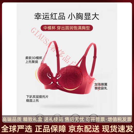 Agent Provocateur Light Luxury Brand Year of the Horse, Ben Ming Nian Underwear for Women, Small Breast Push Up, Secondary Breast Support, Sexy Lace Panties Bra, Maroon-Set 70A 32 (for good luck)