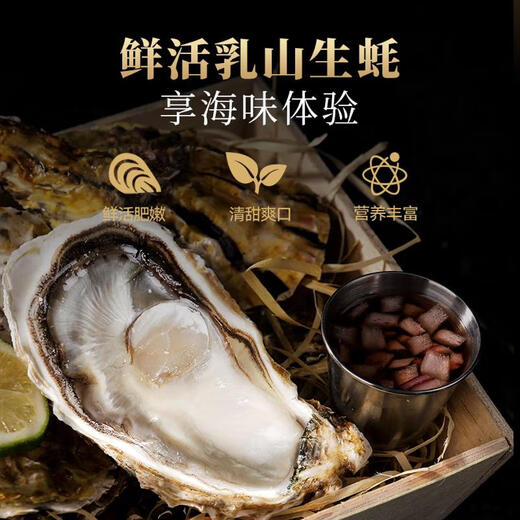 Fresh Rushan oysters, fresh and authentic Rushan oysters, 5 Jin Jin equals 0.5 kg box/10 Jin Jin equals 0.5 kg box, extra large freshly caught 5X extra large oysters (15-22 pieces per box) with box 10 Jin Jin equals 0.5 kg