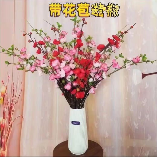 Full of blooms, red plum hydroponic fresh branches with buds, flowers and plants, indoor water-cultured dried wintersweet flowers, 60-70cm red plum fresh branches, 15 branches, a must-have in winter, with buds and nutrient solution
