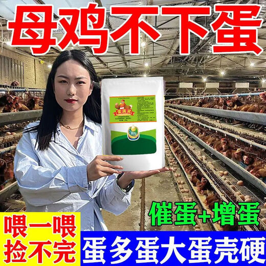 Special eggs for chickens to lay eggs, Duoduo Bao, eggs for chickens, ducks and geese to increase production, feed for chickens to eat if they don’t lay eggs, what to do, five bags