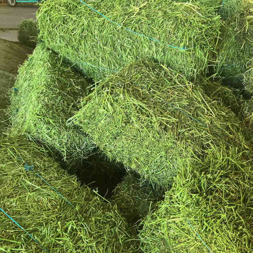 Alfalfa hay for cattle, sheep and horses, sheep grass, alpaca large zoo feed, alfalfa 100kg