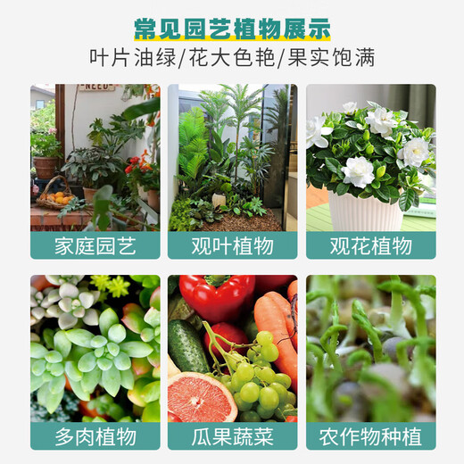 Soil Activator Loose soil, activate soil, prevent hardening, repair soil, promote plant root growth. Paiyifa 5 Soil Activator