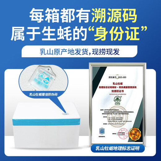 Fresh Seaway Fresh Rushan Oysters 5XL Net Weight 5Jin Jin is equal to 0.5kg 9-12 pcs Fresh Seafood and Shellfish Straight from the Source