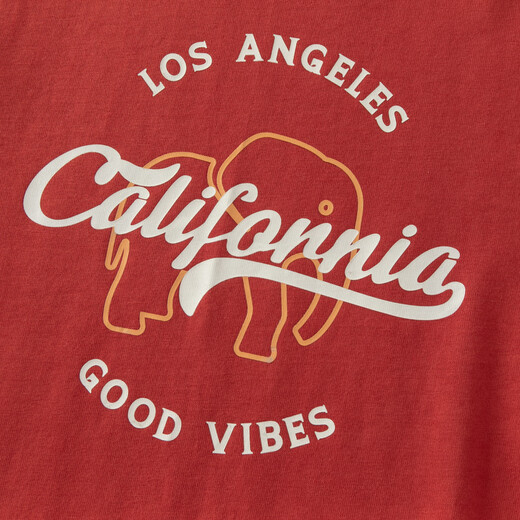 DAVE&BELLA children's long-sleeved T-shirt spring new pure cotton boy's bottoming shirt big children fake two-piece top little boy pullover red ready stock 110 cm (recommended height 100-110cm)