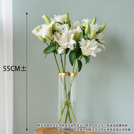 Carnation flowers Yunnan base straight hair Goddess Day gift bouquet multi-color flowering period long Chinese Valentine's Day gift 3 random mixed color lily 6 buds
