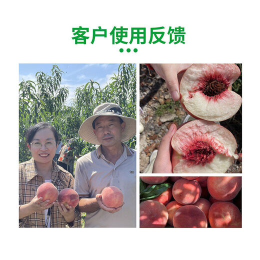 Lulong Titanium Sweet promotes growth, expands fruit, colors, sweetens and increases yield. It contains amino acid water-soluble fertilizer. Titanium Sweet 1kg*12 bottles are more favorable for the whole box.