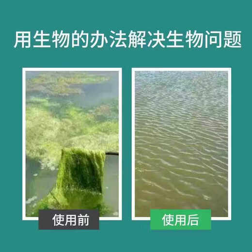 Sodium humate is specially used for aquaculture to inhibit moss and cyanobacteria, water purification, modified base fertilizer water, shading and deodorization, sodium humate 100% flake independent 1 Jin Jin equals 0.5 kg, packaging 30 Jin Jin equals 0.5 kg