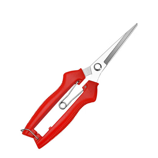 Fruit picking scissors, fruit thinning scissors, grape flower thinning scissors, flower pruning scissors, citrus pepper picking twig scissors, fruit picking scissors, short curved blade scissors