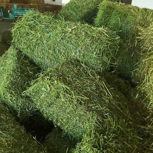 Alfalfa hay for cattle, sheep and horses, sheep grass, alpaca large zoo feed, alfalfa 100kg