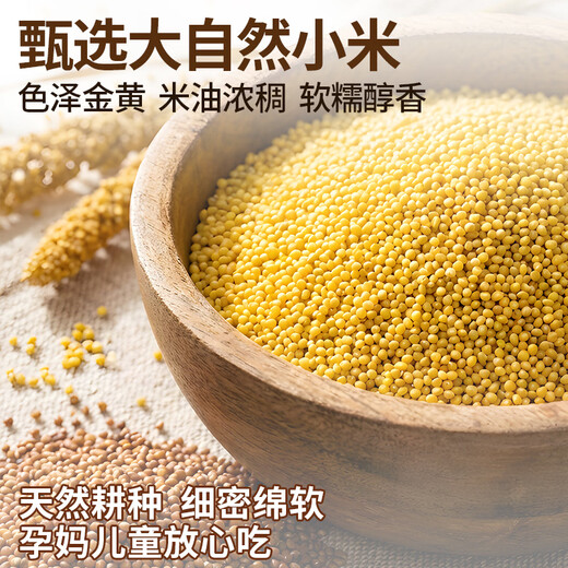 Three Dolphins Sea Cucumber Millet Porridge Liaoning Hot Ready-to-Eat Sea Cucumber Dalian Sea Cucumber Ready-to-eat New Year Products 230g*3 Box