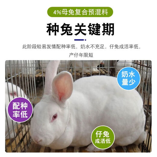 OIMG rabbit premix meat rabbit pup baby rabbit rabbit premix fattening rabbit feed female rabbit premix major manufacturer Sino-US Puco 4% rabbit premix 4 Jin Jin equals 0.5 kg, buy 4 get 1 free, get 5 bags, mixable material 500 Jin Jin equal to 0.5 kg