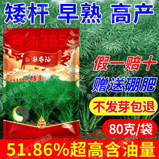 Стабильное производство семян рапса, ранний срок созревания, высокое содержание масла, карликовые стебли, устойчивость к болезням, устойчивость к полеганию, сильное кунжутное масло, крупные гранулы, официальный представитель Sichuan Short Oil King, платите 10 за подделки, зарегистрированный гибридный рапс 80 г * 2 мешка + 2 мешка борного удобрения, карликовые стебли, устойчивость к болезням и устойчивость к полеганию