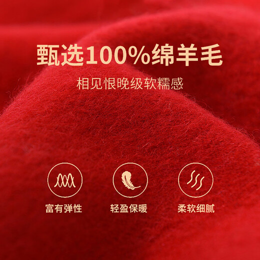 Buyan Year of the Horse Spring Festival Gala Silk Brushed Annual Meeting Red Scarf Custom Printed Embroidered LOGO Corporate Celebration Event Scarf Wholesale Scarf 1-Pure Cotton Year of the Horse Scarf 180*30CM One Size
