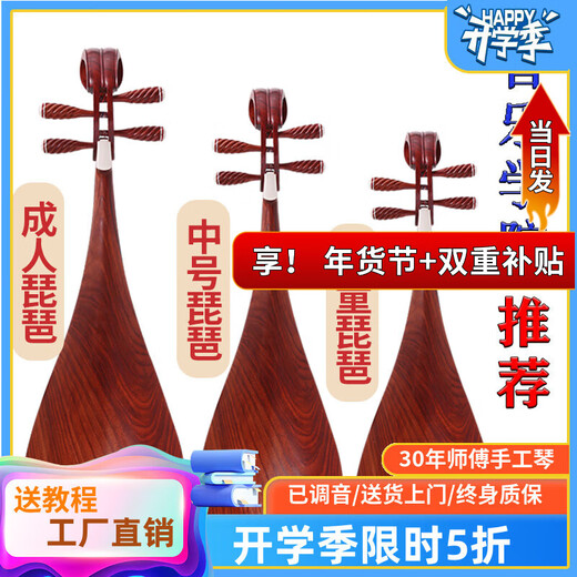 Folk music pipa musical instrument for adults and children beginners entry-level pipa professional teaching pipa mahogany rosewood pipa musical instrument adult rosewood axis performance level