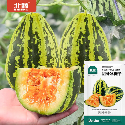 Beishu melon seeds, emerald rock sugar seeds, croissant honey, white sand honey, spring melon seeds, Beishu sweet tooth rock sugar melon seeds, about 60 pieces, 5 bags
