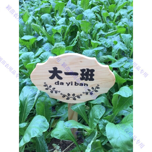 Customized wooden brand park vegetable garden vegetable field wooden grass planting area sign vertical ground sign to care for flowers and plants 1 model 30*20CM