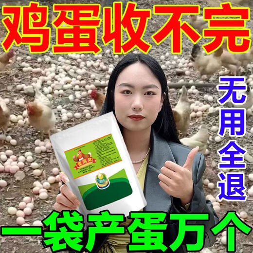 Special eggs for chickens to lay eggs, Duoduo Bao, eggs for chickens, ducks and geese to increase production, feed for chickens to eat if they don’t lay eggs, what to do, five bags