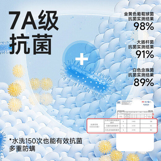 MiiOW Women's Pajamas Spring and Autumn 100% Cotton/7A Antibacterial Skin Friendly Round Neck Pullover Long Sleeve Four Seasons Home Clothes