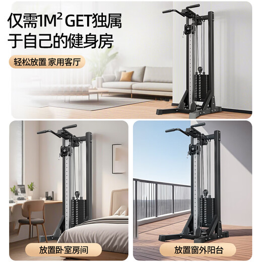 _Fitness home equipment unilateral flying bird gantry painting rowing machine multi-functional dumbbell equipment package installation classic + 70KG environmentally friendly counterweight