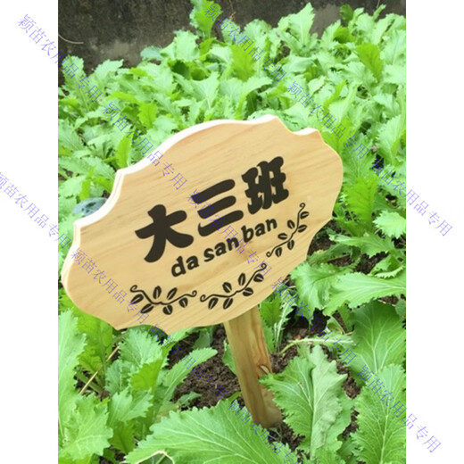 Customized wooden brand park vegetable garden vegetable field wooden grass planting area sign vertical ground sign to care for flowers and plants 1 model 30*20CM
