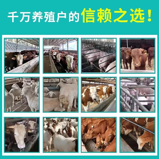 Maxing Shigan granules for veterinary use Eucommia leaf crude extract for pigs, pregnant animals, cattle, sheep and poultry feed additives 1000g/bag Maxing Shigan granules 8 bags