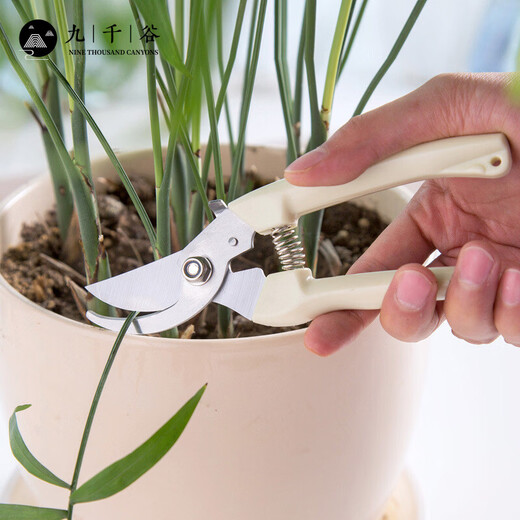 Cow Centenary Gardening Scissors Pruning Scissors Gardening Tools Floral Fruit Tree Pruning Scissors Pruning Branches Gardening Pruning Scissors Beige