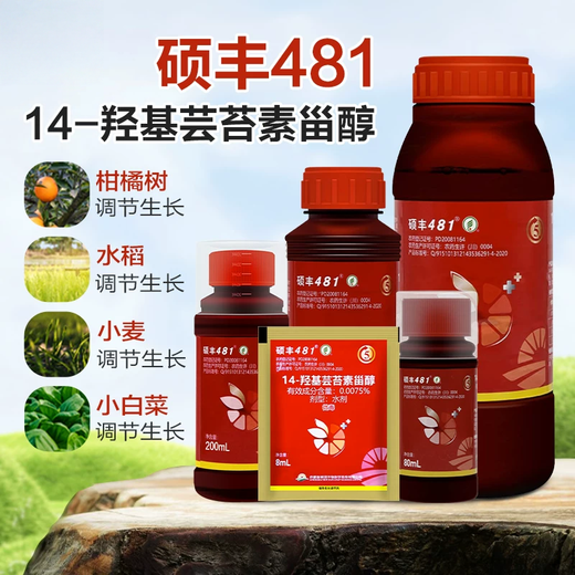 14 Hydroxybrassinolide Sterol Shuofeng 481 Fruit and Vegetable Antidote for Flower and Fruit Plant Growth Regulator 500ml