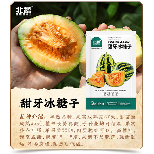 Beishu melon seeds, emerald rock sugar seeds, croissant honey, white sand honey, spring melon seeds, Beishu sweet tooth rock sugar melon seeds, about 60 pieces, 5 bags