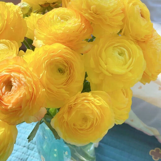 Peony flower base wholesale high-grade peony fresh cut flowers Yunnan fresh flowers bouquet peony yellow 10 branches + imported preservative