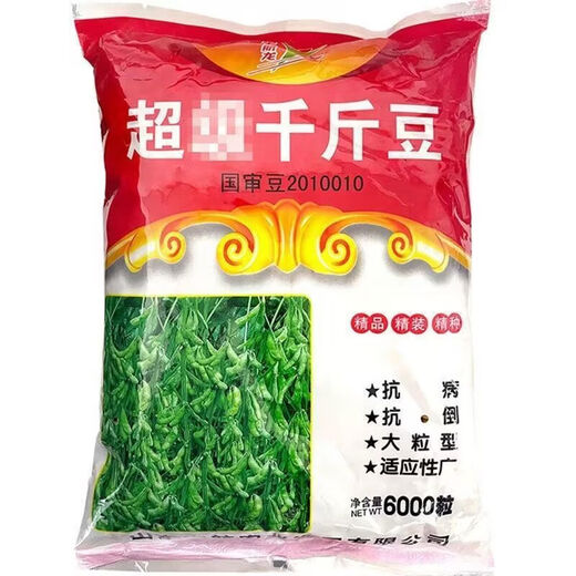 Super high yield 1000 Jin Jin is equal to 0.5 kg. Soybean seed farmers plant high yield and high protein soybean seeds in the field. Soybean seeds Bawangbian 5 Jin Jin is equal to 0.5 kg.