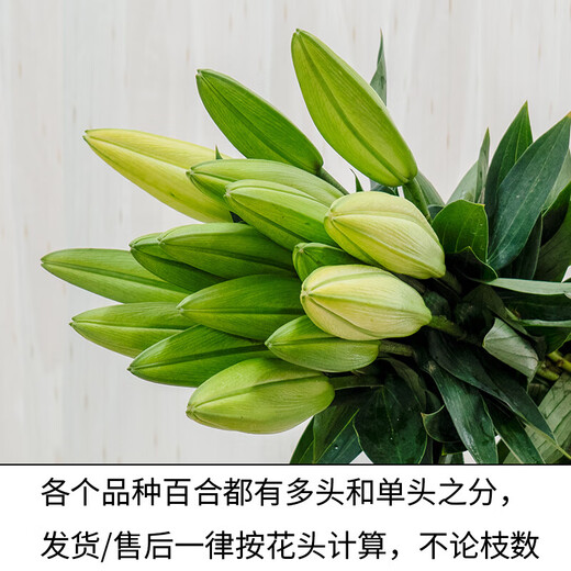 Perfume lily, flowers for Buddha, Yunnan straight-haired fresh-cut flowers, water-raised flower arrangement, white, yellow and pink, Chinese Valentine's Day gift, random perfume lily mixed color, 6 flowers, high-quality lily
