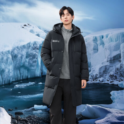 Flying in the Snow Autumn and Winter Oriental Simple Luxury Style Fashionable Casual Comfortable Silhouette Men's H-Type Printed Stand Collar Hooded Down