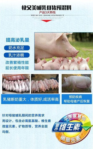 Kuai Liang 2 Lactating Sow Premix 4 Sows use feed to promote lactation and increase milk nutritional additives 2 Lactating Sow Premix 4 Sows use feed to promote lactation and increase milk nutritional additives