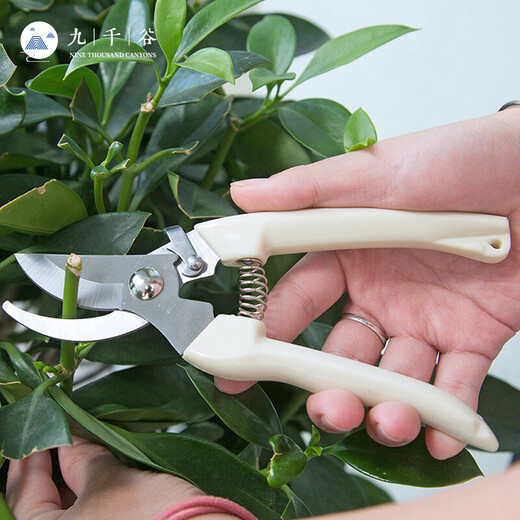 Cow Centenary Gardening Scissors Pruning Scissors Gardening Tools Floral Fruit Tree Pruning Scissors Pruning Branches Gardening Pruning Scissors Beige
