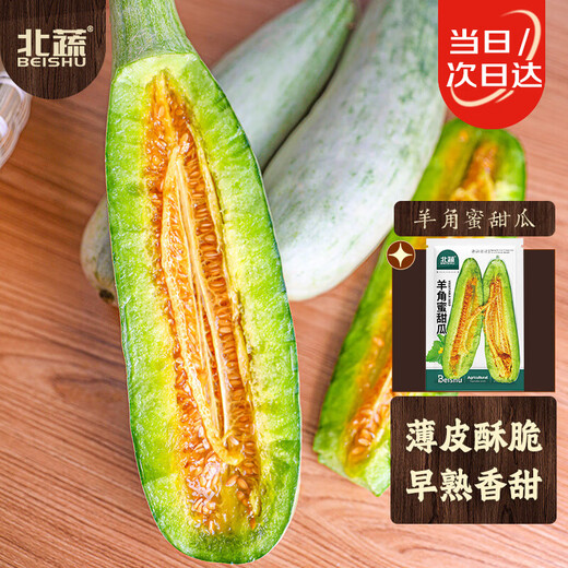 Beishu, honeydew melon seed seedlings, early maturing, crispy and fragrant melon fruit seeds, about 200 seeds of honeydew melon
