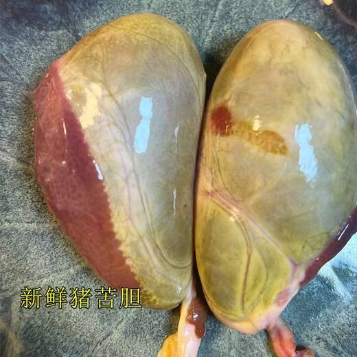 Pig gall is killed and discovered, fresh pig bile, gallbladder, dried pig gall, frozen pig gall, old folk recipe, 1 piece of gall