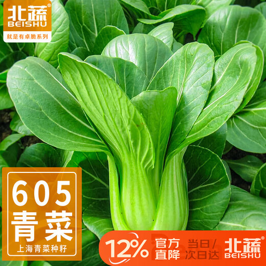 Beishu small green vegetable seed seedlings Shanghai green stem rapeseed fast-growing 605 Shanghai green seeds 50g about 20,000 grains