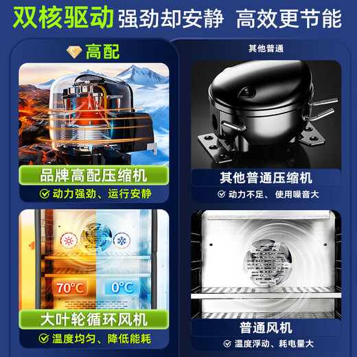 Lichen (LICHEN) biochemical incubator mold bacteria microbial germination breeding incubation constant temperature culture laboratory electric heating and humidity box 50L biochemical LC-SPX-50BE incubator