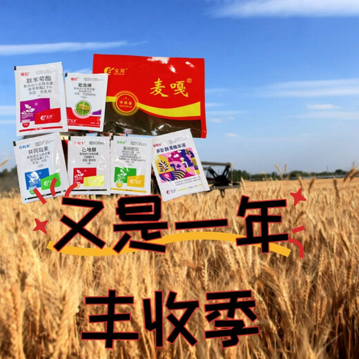 Wheat package, one spray, three preventions, wheat production increase, disease prevention, antibacterial, insecticide, anti-falling, strong seedlings, increase production package, 10-in-1 (1 mu package)