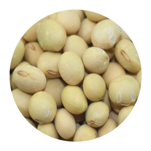 Super high yield 1000 Jin Jin is equal to 0.5 kg. Soybean seed farmers plant high yield and high protein soybean seeds in the field. Soybean seeds Bawangbian 5 Jin Jin is equal to 0.5 kg.