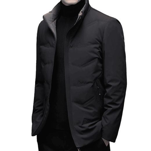 LILANZ Light Fashion Men's Down Jacket 2025 Winter New Style Young and Middle-aged Men White Duck Down Thickened Warm Stand-up Collar 329 Ha Cyan M 170