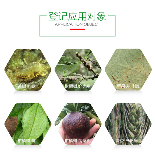 Shuangji brand 45% lime sulfur mixture base red spider scale insect fruit tree Qingyuan painted white miticide and bactericidal insecticide 400g * 20 bags