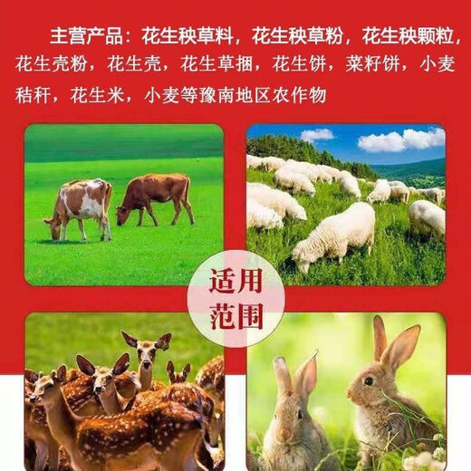 2025 New Peanut Straw Pellets Feed Corn Concentrate Peanut Straw Pellets Cattle, Sheep, Horses and Rabbit Feed Sheep Feed 40 Jin Jin is equal to 0.5 kg of pellets. The whole bag is delivered to many places the next day.