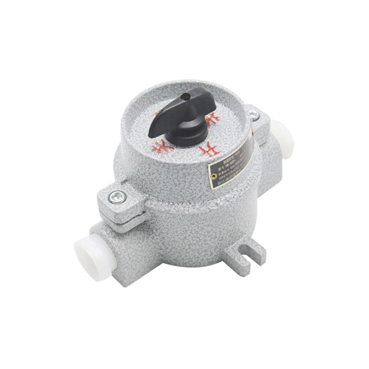 Explosion-proof lighting switch SW-10/220V380V explosion-proof control switch thickened transfer switch IIBIIC SF air freight