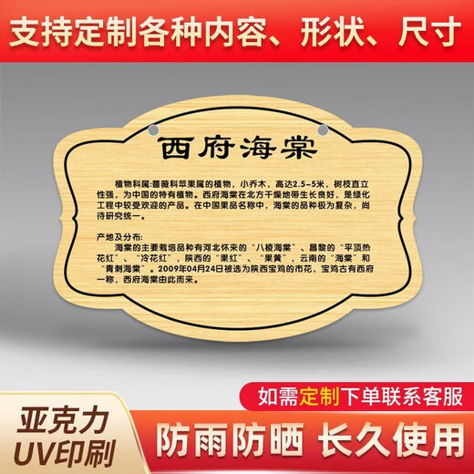 树牌挂牌植物介绍定制物业树木铭牌植树牌树木介绍标识牌亚克力 SP-61 30x20cm